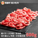 【ふるさと納税】飛騨牛 メス牛 最高A5等級 肩バラ・バラ肉・モモ肉切り落とし 牛丼・すき焼き用 500g 国産 黒毛和牛 牝牛 ギフト ひだうし ひだぎゅう