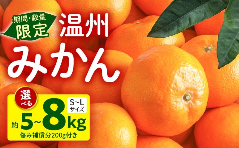 
                  《2025年～2026年発送》【選べる内容量】【数量・期間限定】温州みかん(傷み補償分200g付き)｜期間限定 温州みかん 5kg 8kg みかん ミカン 果物 果実 果肉 果汁 フルーツ スイーツ デザート 酸味 糖度 青果 青果物 柑橘 柑橘類 おすすめ グルメ お取り寄せ フルーツジュース みかんゼリー ゼリー 選べる 内容量 ネイバーフッド 人気 宮崎県 宮崎市｜_M249-001-SKU
                