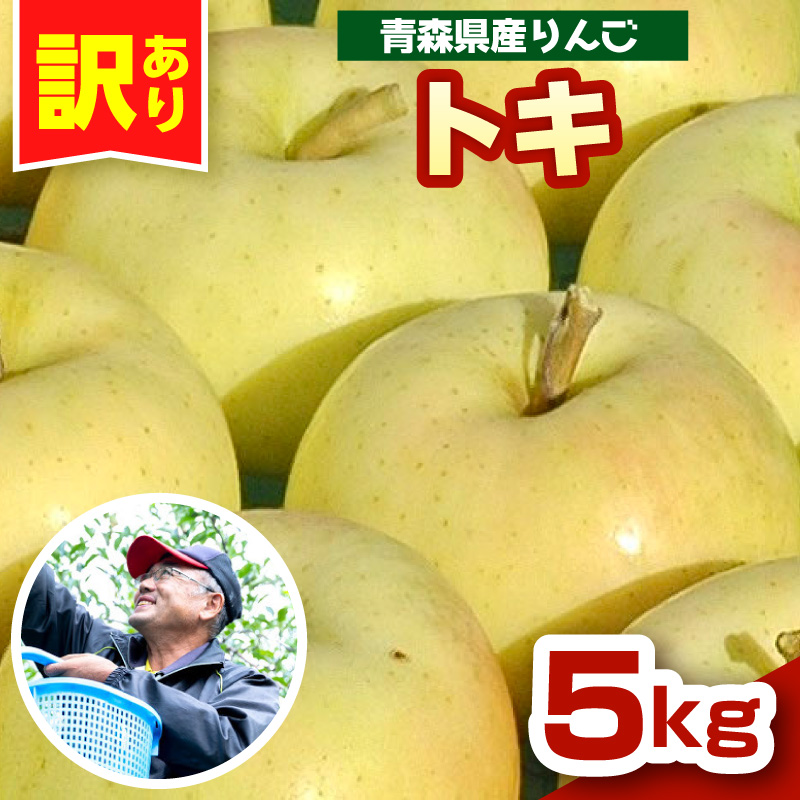 りんご　青森 トキ 訳あり 5kg 程度 【 10月 中旬以降順次 発送 】 とき 農家直送 青森県 五所川原市 傷 キズ ワケアリ 林檎 リンゴ apple 黄色