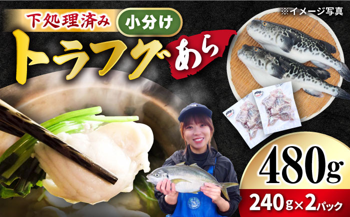 
下処理済 トラフグ あら480g（240g×2パック）＜大島水産種苗＞ [CBW009]
