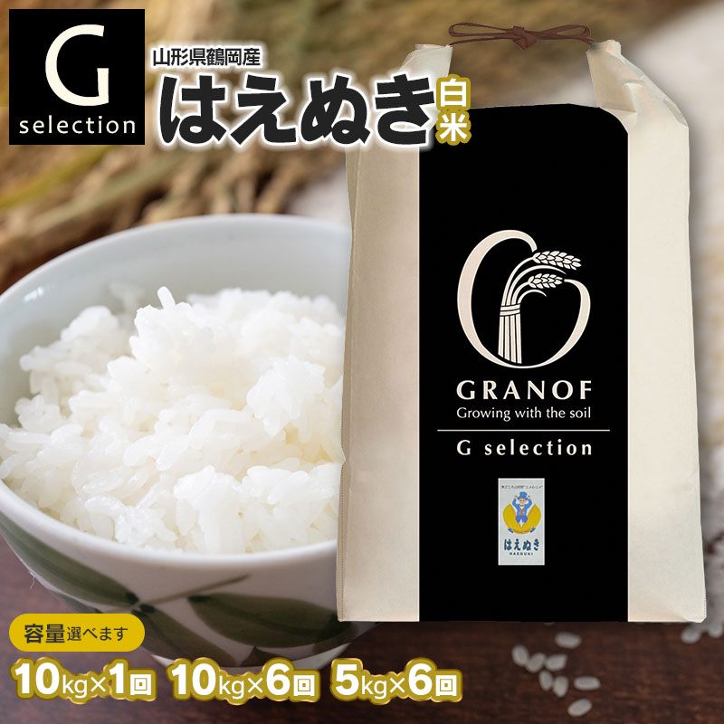 【ふるさと納税】【令和7年産先行予約】Gセレクション はえぬき 白米(精米) 山形県鶴岡産 容量（10kg・10kg×6回・5kg×6回）選べる　6ヶ月定期便（毎月1回中旬発送）　株式会社グラノフ