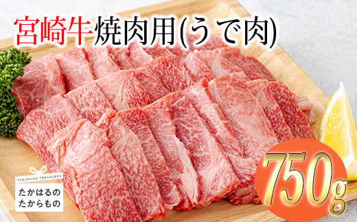 宮崎牛焼肉用（うで肉）約750g　 TF0569