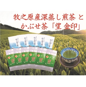  【5月より新茶出荷】 牧之原産 深蒸し茶「牧之原の雫」とかぶせ茶「望」 計10本 詰合せ セット お茶 茶 深蒸し 煎茶 旬 日常 のし 熨斗 贈答 ギフト 静岡県 牧之原市 澤田行平商店