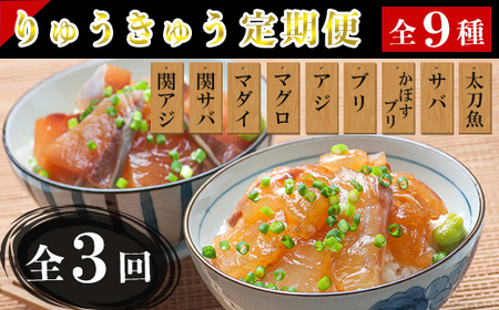 [1月発送開始]＜定期便・全3回＞大分郷土料理りゅうきゅう全9種を3回に分けてお届け！(3種×2食×3回) 刺身 冷凍 セット 海鮮 漬け 産地直送 大分県 真空パック 小分け 惣菜 人気 海鮮丼 漬け丼 定期便 関アジ 関さば 鯛 マグロ アジ ぶり かぼすぶり さば 太刀魚 ＜101-821_5＞