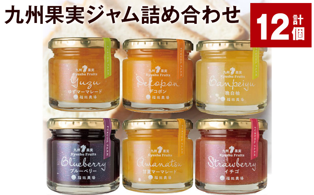 九州果実ジャム詰め合わせ 6種類 120g×12個（各2個） ジャム 甘夏 ブルーベリー イチゴ デコポン 晩白柚 ゆず