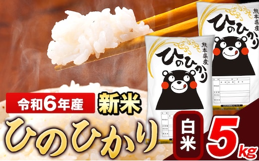 
										
										令和6年産 新米 ひのひかり 白米 5kg 《11月-12月より出荷予定》 5kg×1袋 熊本県産 米 精米 ひの 長洲町---ng_hn6_af11_24_10000_5kg_h---
									