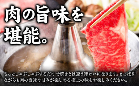 大川原高原牛 赤身モモしゃぶしゃぶ 500g 株式会社肉の藤原《90日以内に出荷予定(土日祝除く)》徳島県 佐那河内村 和牛 希少 佐那河内 さなごうち 大川原高原 牛肉 赤身 もも肉 贅沢 あっさり