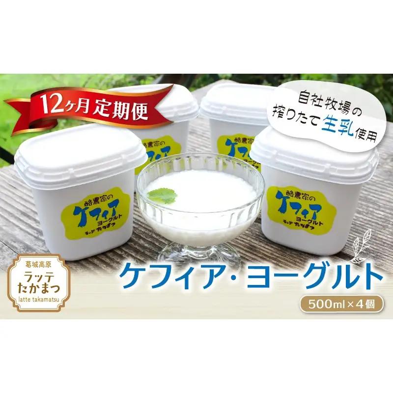 【12ヵ月定期便】ケフィア・ヨーグルト500ml×4個 ／ 葛城 高原 牧場 ケフィア ヨーグルト【latt-tkb014】