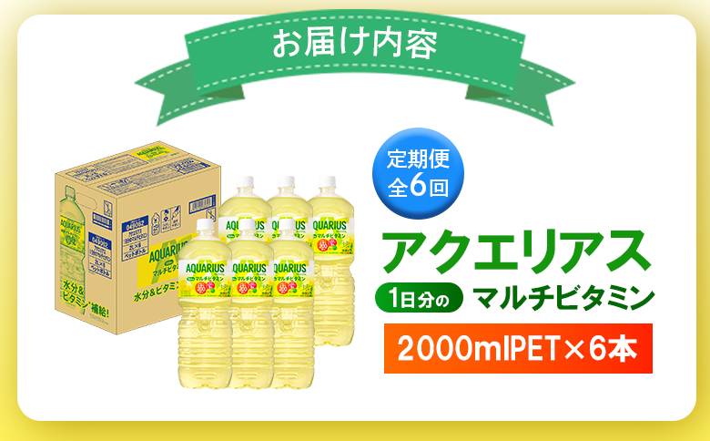【定期便：全6回】アクエリアス 1日分のマルチビタミン　2LPET×6本【380090】