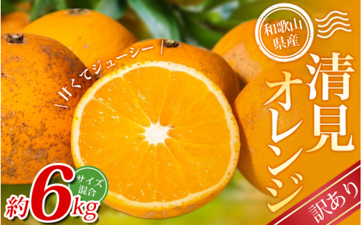 【訳あり・ご家庭用】 森本農園の手選別 清見オレンジ 約6kg 和歌山県産 サイズ混合 【北海道・沖縄・離島配送不可】【2026年2月上旬～5月中旬頃に順次発送】【BV90024-mrmt024A】