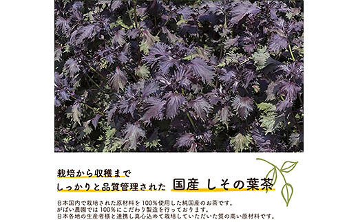 国産 しその葉茶:A095-024_イメージ3