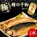 【ふるさと納税】 【骨取り】 大寒の極み サバ干物 5枚 1枚約200g 特大サイズ 鯖 さば 塩サバ ノルウェー産 骨抜き 骨なし 冷凍 一枚ずつ 真空パック 個包装 海鮮 魚介類 シーフード 干物 高級 お取り寄せグルメ 贈答 ギフト 送料無料 ふるさと納税 千葉県 銚子市 武内商店