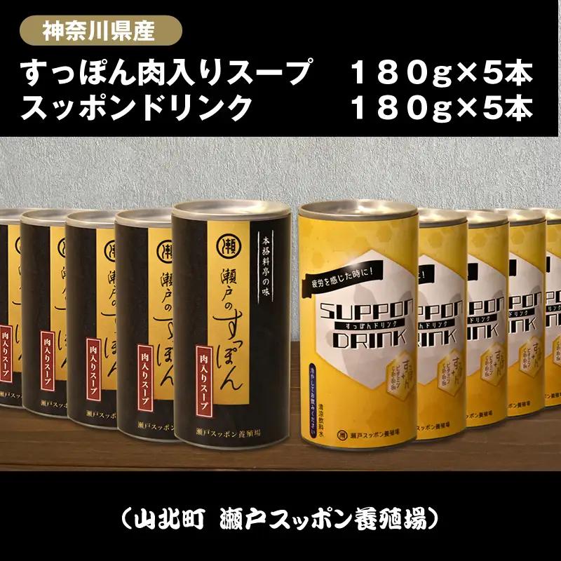 神奈川県産すっぽん肉入りスープ　180g×5本+すっぽんドリンク5本【 すっぽん スープ ドリンク 国産 神奈川県 山北町 】 