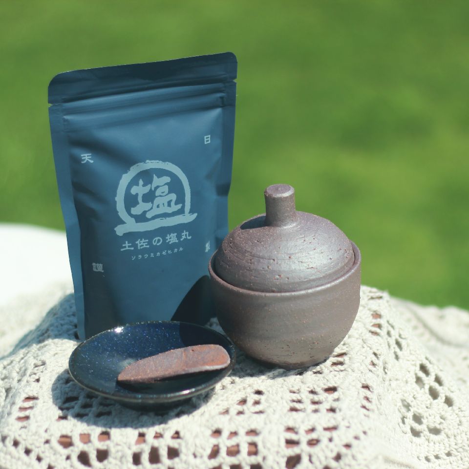 【ふるさと納税】 塩壷 塩さじ 豆皿 天日海塩 セット どんぐりの塩壷 ソルトポット ギフト 贈り物 プレゼント 食器 お皿 陶器 調味料入れ キッチン雑貨 塩入れ 塩 調味料 高知県 高知県 黒潮町