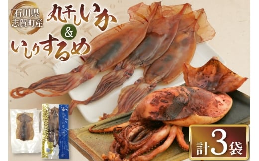 干物 丸干しいか 120g いしりするめ 4枚 [西海水産 石川県 志賀町 AB4134] いか イカ するめいか 魚醤 いしり イシリ いしる いしり醤油 