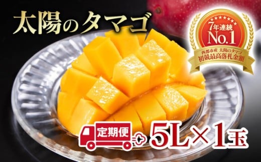 【2ヶ月定期便】最高級ブランド『太陽のタマゴ』特大サイス 5Lサイズ1個入り【糖度15度以上】宮崎県西都市産完熟マンゴー＜8-9＞宮崎完熟マンゴー 果物 フルーツ 甘い 大玉【先行予約】2026年発送