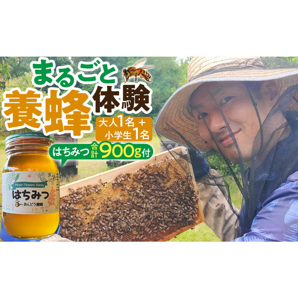 【ふるさと納税】1283.【要予約 親子用（大人1名様+小学生1名様）】あんどう養蜂 まるごと養蜂体験（約3時間）はちみつ大人：600g、小学生：300g付き