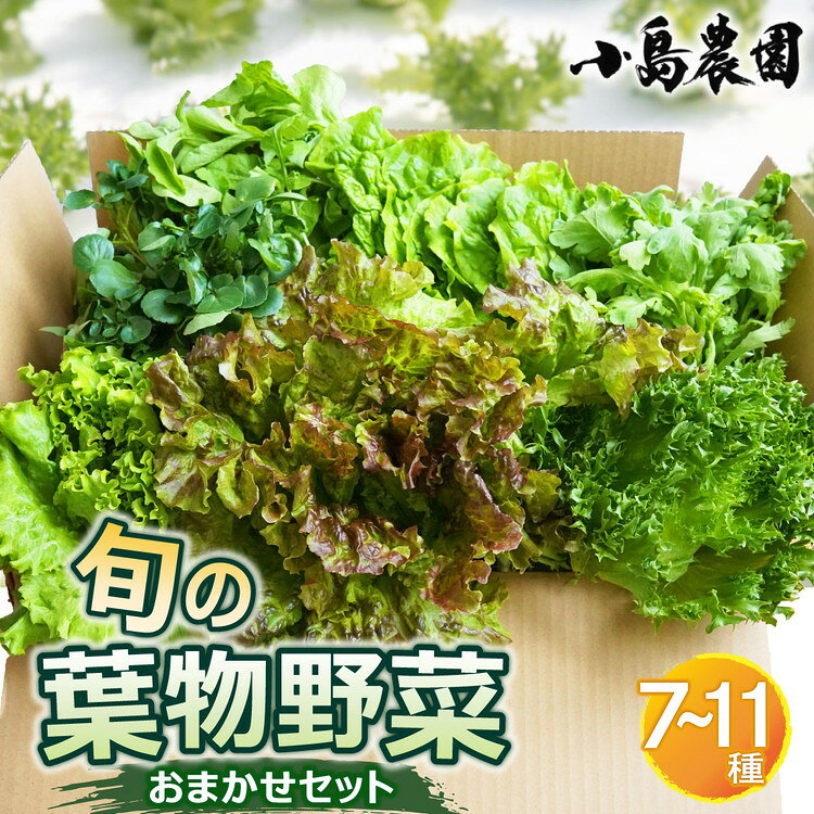 【ふるさと納税】野菜 高評価★4.4 旬の葉物野菜 7種～11種 詰め合わせ 選べる サイズ 定期便 6回 京都丹波産 新鮮 レタス サラダ用 小島農園｜お試しセット ボリュームセット 農薬不使用 京野菜 亀岡産 季節の野菜 産地直送 ふるさと納税 野菜 定期便 楽天限定 6000円
