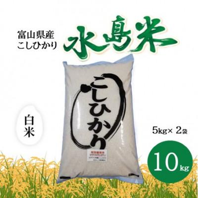 ふるさと納税 小矢部市 栽培期間中農薬・化学肥料不使用　こしひかり　白米 5kg×2袋(10kg)