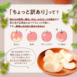 【2026年2月後半発送】 【ちょっと訳あり】 りんご 約10kg サンふじ 青森産