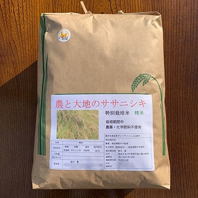 ササニシキ白米5kg(宮城県認証栽培期間中農薬・化学肥料不使用栽培)【1135216】
