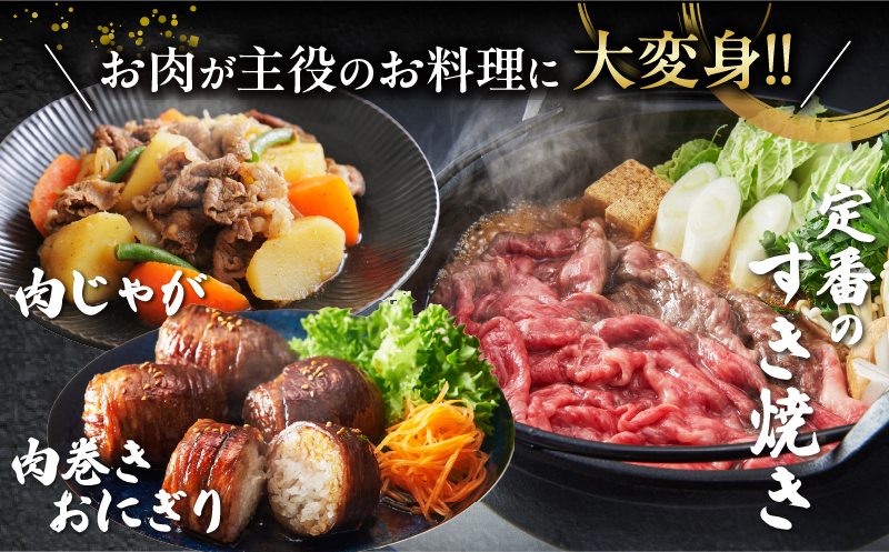 宮崎牛モモスライス(すき焼き用)計500g 肉 牛 牛肉 焼肉 国産_T009-0212