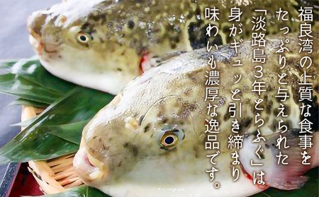 淡路島3年とらふぐ「てっちり」淡路野菜添えセット（2人前） 