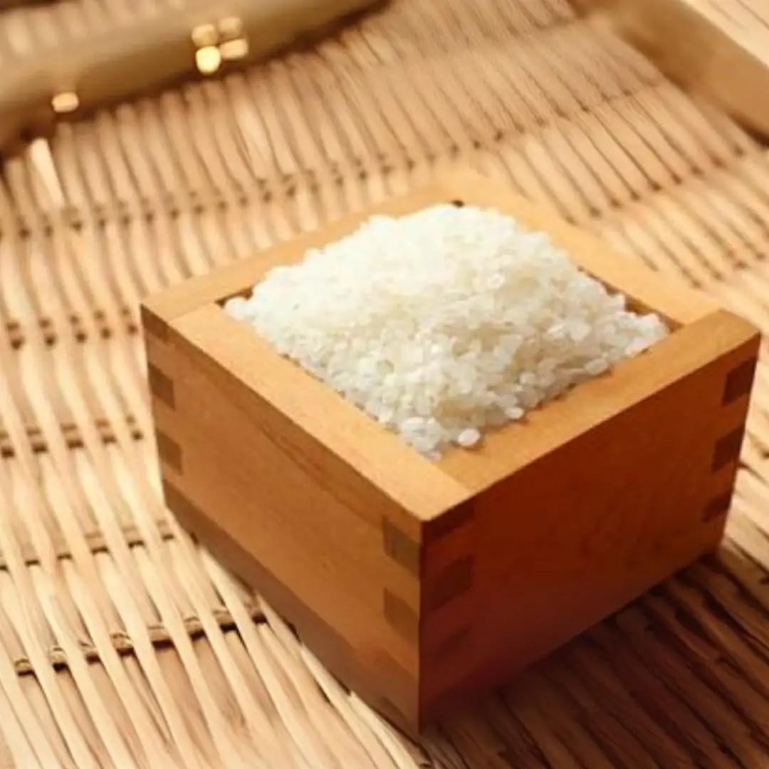 五泉産 コシヒカリ 精米 10kg (10kg×1) | コシヒカリ 白米 米 新潟県産 五泉市