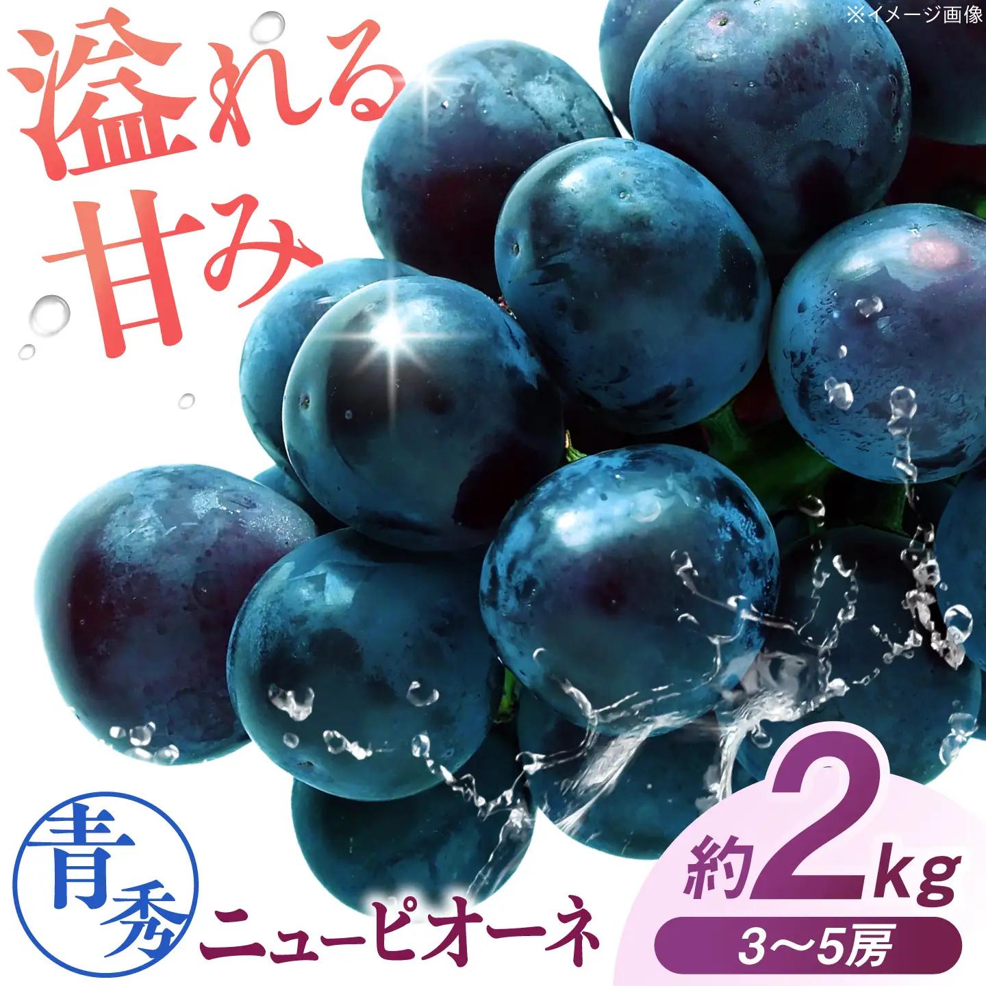 ぶどう ニューピオーネ 青秀 約2kg [APCM024] ぶどう