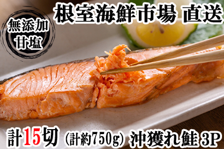 根室海鮮市場＜直送＞無添加甘塩天然沖獲れ鮭5切×3P(計15切、約750g) G-28037