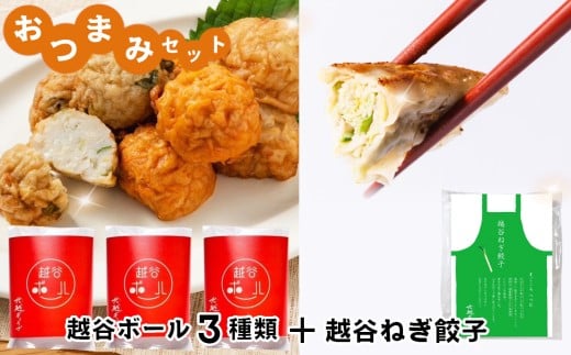 おつまみセット（越谷ボール3種類、越谷ねぎ餃子20個） ／ 惣菜 おかず おつまみ ツマミ さつま揚げ 冷凍 手軽 時短 おいしい たこ焼き風 越谷ねぎ たまねぎ にんじん ぎょうざ ギョウザ ジューシー 中華 中華惣菜 セット 食べ比べ 埼玉県 No.246