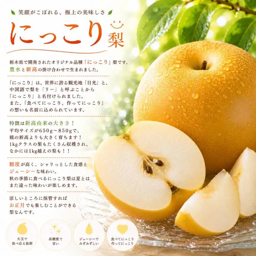梨 にっこり 約2kg｜栃木県共通返礼品 栃木県産 栃木県 那珂川町 