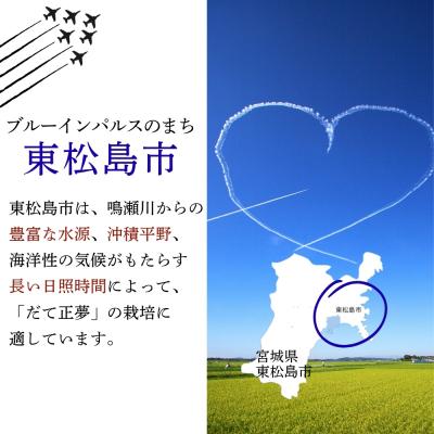 ふるさと納税 東松島市 【令和7年産】 宮城県産だて正夢(精米) 5kg 米 だて正夢 だてまさゆめ 宮城県産 |  | 03