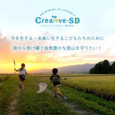 ふるさと納税 佐渡市 佐渡島産にじのきらめき 白米20Kg(5Kg×4袋) 【令和7年産】特別栽培米 |  | 03