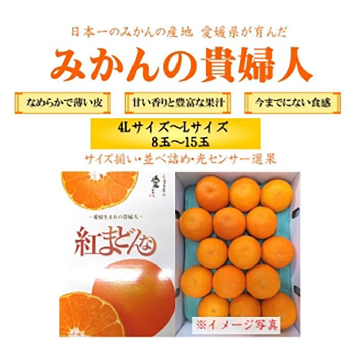 【先行予約】【2025年11月下旬頃順次発送】紅まどんな 約3kg（8~15玉）4L〜Lサイズ 紅まどんな 愛媛 みかん 紅マドンナ 紅まどんな 蜜柑 柑橘 果物 松山市の紅まどんな 贈答 愛媛のみか