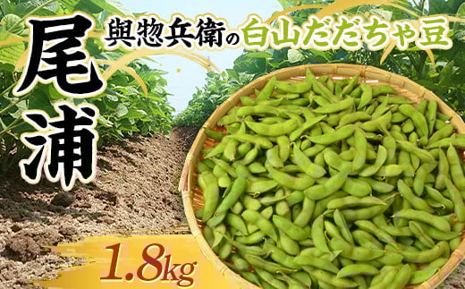 與惣兵衛（よそべえ）の白山だだちゃ豆 晩生品種 尾浦（おうら）1.8kg  えだ豆 豆類 豆 枝豆 えだまめ 野菜 食品 山形県 FSY-1300