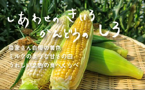 大地の恵み「とうもろこし2色セット」10本