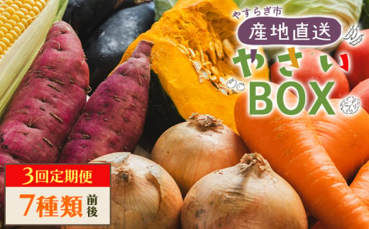 野菜 定期便 3か月 7種類前後 人気 3回定期便 やさいＢＯＸ やすらぎ市 産地直送 - 野菜 ベジタブル おまかせ 詰め合わせ セット 季節 旬 お任せ お楽しみ ヘルシー 国産 特産品 送料無料 やすらぎ市 高知県 香南市 Wyr-0035