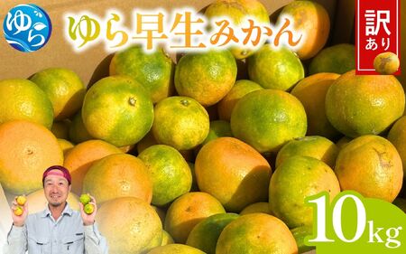 ＼訳あり／ ゆら早生みかん 10kg / みかん ミカン 和歌山県 柑橘 早生 甘い 蜜柑 フルーツ 果物 くだもの 食品  産地直送 由良町 ご家庭用 ゆら早生 早生みかん ※2026年10月上旬～