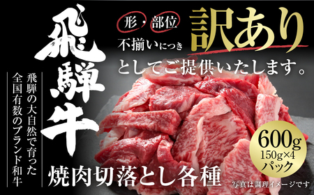 訳あり 飛騨牛 焼肉 切落とし 600g 焼肉 飛騨高山ミート [MZ014]