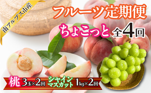 【2026年度　先行予約】　【ちょこっと】　フルーツ4回定期便（桃3玉×2回　| シャインマスカット1.0kg×2回） くだもの 果物 フルーツ もも ブドウ ぶどう 葡萄 山梨県産 産地直送 農家直送 新鮮 美味しい 南アルプス市 ALPAJ053