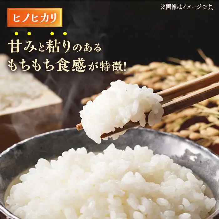 〈令和7年度産米〉ヒノヒカリ・にこまる 白米 食べ比べ 計10kg（5kg×2袋）【竹下農園】[ZEL003]