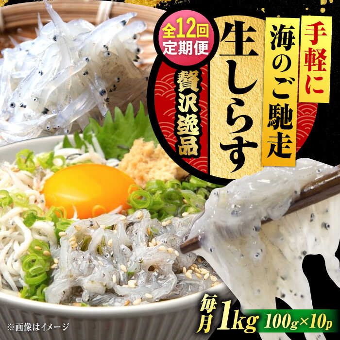 【ふるさと納税】【全12回定期便】鮮度抜群 生しらす 100g×10個 しらす 釜揚げ 冷凍 シラス 小分け パック 干し 魚介類 鮮魚 海鮮 海産物 セット 詰め合わせ ギフト 広島県産 人気 送料無料 江田島市/三島水産株式会社[XCN025]