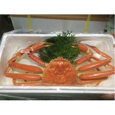 ふるさと納税 北栄町 鳥取県産タグ付きボイル松葉ガニと活松葉ガニの欲張りセット　大サイズ(800〜900g)