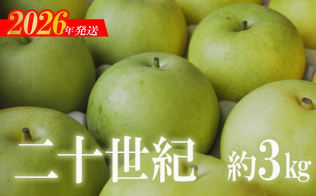 No.2739梨　二十世紀　3kg【2026年発送】