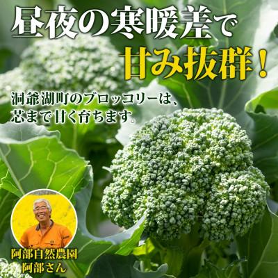 ふるさと納税 洞爺湖町 冷凍ブロッコリー 60g×10袋 甘い 国産 阿部自然農園 北海道 洞爺湖町 |  | 02