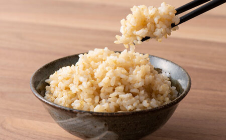 令和7年産 ハツシモ 玄米 5kg 腸活 ヘルシー 米 ブランド米 岐阜市 / 川瀬ファーム[ANIB003]