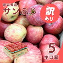 【ふるさと納税】【令和7年1月下旬頃発送】産地直送 青森県産 訳ありサンふじ 5キロ箱 10～23玉 青森県産りんご【配送不可地域：離島・沖縄県】【1288123】