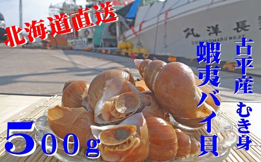 【110005】北海道古平産 漁師直送！蝦夷バイ貝(むき身) 500g