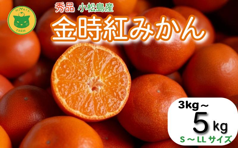 
            【2025年12月順次発送】　金時紅みかん 3kg～5kg みかん 甘い 紅 みかん 柑橘 蜜柑 ミカン ジュース 果汁 小松島市  フルーツ 果実
          